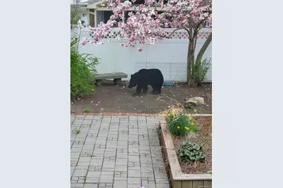 37 Holbrook Street, Port Jervis, NY 12771 - Photo 29