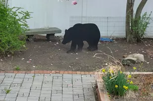 37 Holbrook St, Port Jervis, NY 12771 - Photo 29