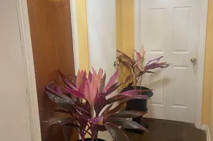 [Address not provided], Hempstead, NY 11550 - Photo 3