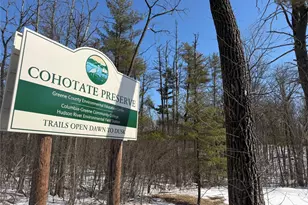 8874 US Route 9W, Athens, NY 12015 - Photo 41