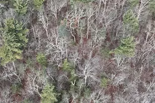 95 Skinner Rd, Wurtsboro, NY 12790 - Photo 25