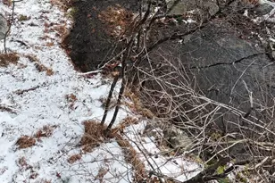 95 Skinner Rd, Wurtsboro, NY 12790 - Photo 27