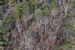 95 Skinner Rd, Wurtsboro, NY 12790 - Photo 31