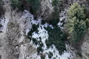 95 Skinner Rd, Wurtsboro, NY 12790 - Photo 3