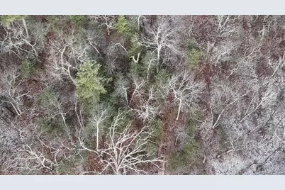 95 Skinner Road, Wurtsboro, NY 12790 - Photo 5