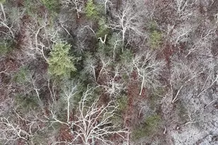 95 Skinner Rd, Wurtsboro, NY 12790 - Photo 5