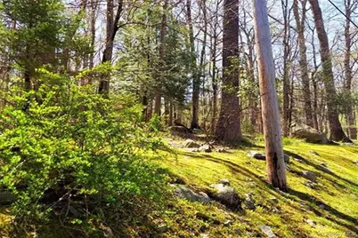 Pine Road & Pepperidge Road, Tuxedo Park, NY 10987 - Photo 3