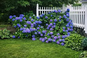 408 Leisure Dr, Ridge, NY 11961 - Photo 17