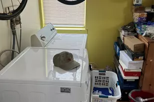 149 W Kingsbridge Rd, Mount Vernon, NY 10550 - Photo 9