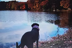 70 Kent Shore Dr, Carmel, NY 10512 - Photo 15