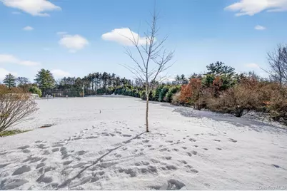 14 Palm Drive, Bloomingburg, NY 12721 - Photo 37