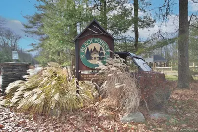 134 Black Forest Road, Glen Spey, NY 12737 - Photo 17