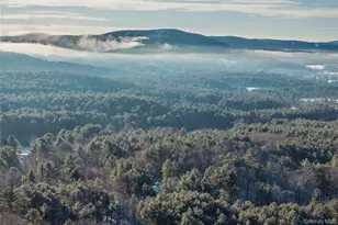 401 Collins St, Hillsdale, NY 12529 - Photo 27