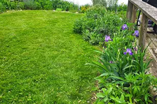 80 Dobson Ave, Merrick, NY 11566 - Photo 5