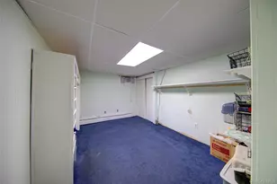 309 Litchfield Ave, Elmont, NY 11003 - Photo 23