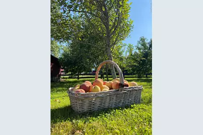 53 Day Road, Campbell Hall, NY 10916 - Photo 31