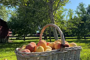 53 Day Rd, Campbell Hall, NY 10916 - Photo 31