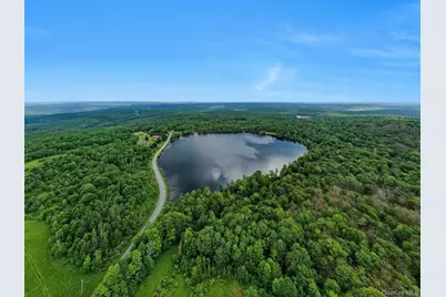 Lot 10 Wood Lake Trail, Roscoe, NY 12736 - Photo 5