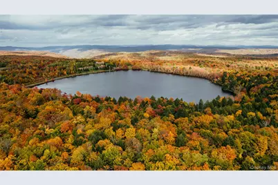 Lot 10 Wood Lake Trail, Roscoe, NY 12736 - Photo 1