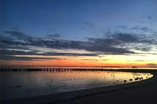 272 Baylawn Ave, Copiague, NY 11726 - Photo 31