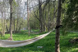 161 Pine Hill Rd, Shandaken, NY 12465 - Photo 3