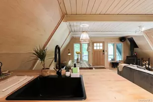 161 Pine Hill Rd, Shandaken, NY 12465 - Photo 13