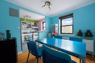 6 W Mill Dr, Great Neck, NY 11021 - Photo 17