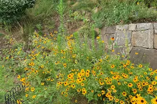 837 Heritage HLS, Somers, NY 10589 - Photo 33