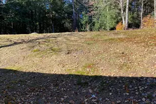 141 Gale Rd, Mongaup Valley, NY 12762 - Photo 19