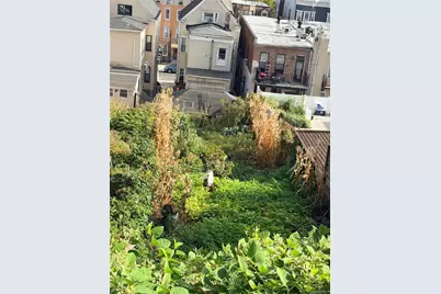 211 Sunnyside Avenue, Brooklyn, NY 11207 - Photo 11