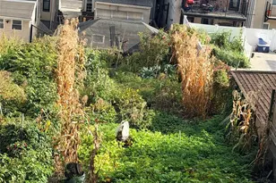 211 Sunnyside Ave, Brooklyn, NY 11207 - Photo 11