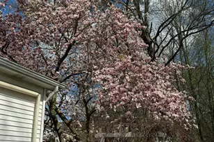 6 Wayne Dr, Middletown, NY 10940 - Photo 43