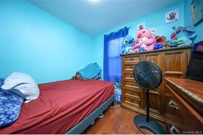 243 Wyona Street, Brooklyn, NY 11207 - Photo 9