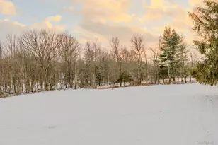 41 Low Rd, Wallkill, NY 12589 - Photo 37