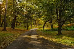 110 Old Albany Post Rd, Rhinebeck, NY 12572 - Photo 41