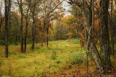 110 Old Albany Post Road, Rhinebeck, NY 12572 - Photo 43