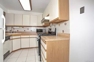 64 S Hillside Ave, Elmsford, NY 10523 - Photo 7