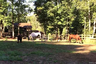 51 Forestburgh Rd, Forestburgh, NY 12777 - Photo 3