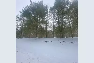 000 Roslyn Ridge Road, Mongaup Valley, NY 12720 - Photo 3