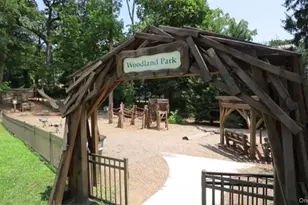 55 1st St, Pelham, NY 10803 - Photo 23