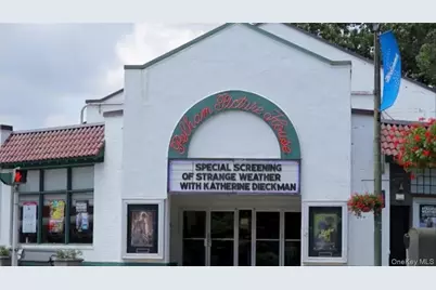 55 1st Street #110, Pelham, NY 10803 - Photo 21