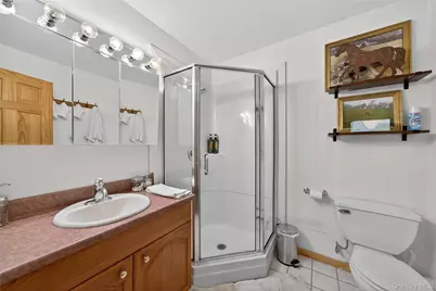 282 W Shore Road, Bethel, NY 12783 - Photo 17