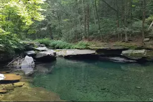 11 Apache Ln, Ferndale, NY 12734 - Photo 21