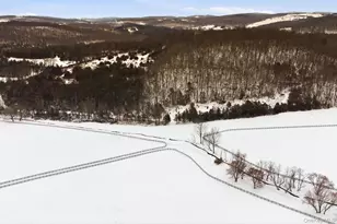 8032-8060 Rt-82, Pine Plains, NY 12567 - Photo 27