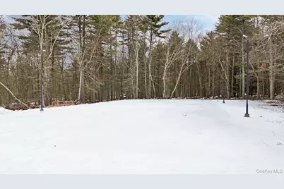 125 Mapes Road, Barryville, NY 12719 - Photo 7