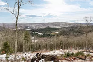 125 Mapes Rd, Barryville, NY 12719 - Photo 5