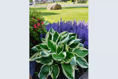 7 Victorian Court, Milton, NY 12547 - Photo 47