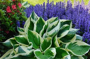 7 Victorian Ct, Milton, NY 12547 - Photo 47