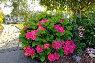 7 Victorian Ct, Milton, NY 12547 - Photo 43