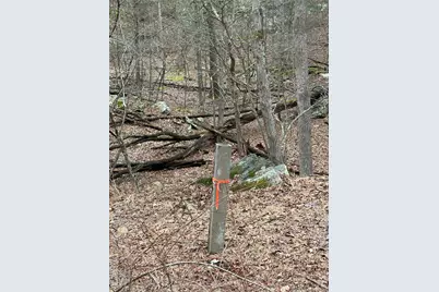 0 Red Hill Road, Wurtsboro, NY 12790 - Photo 15